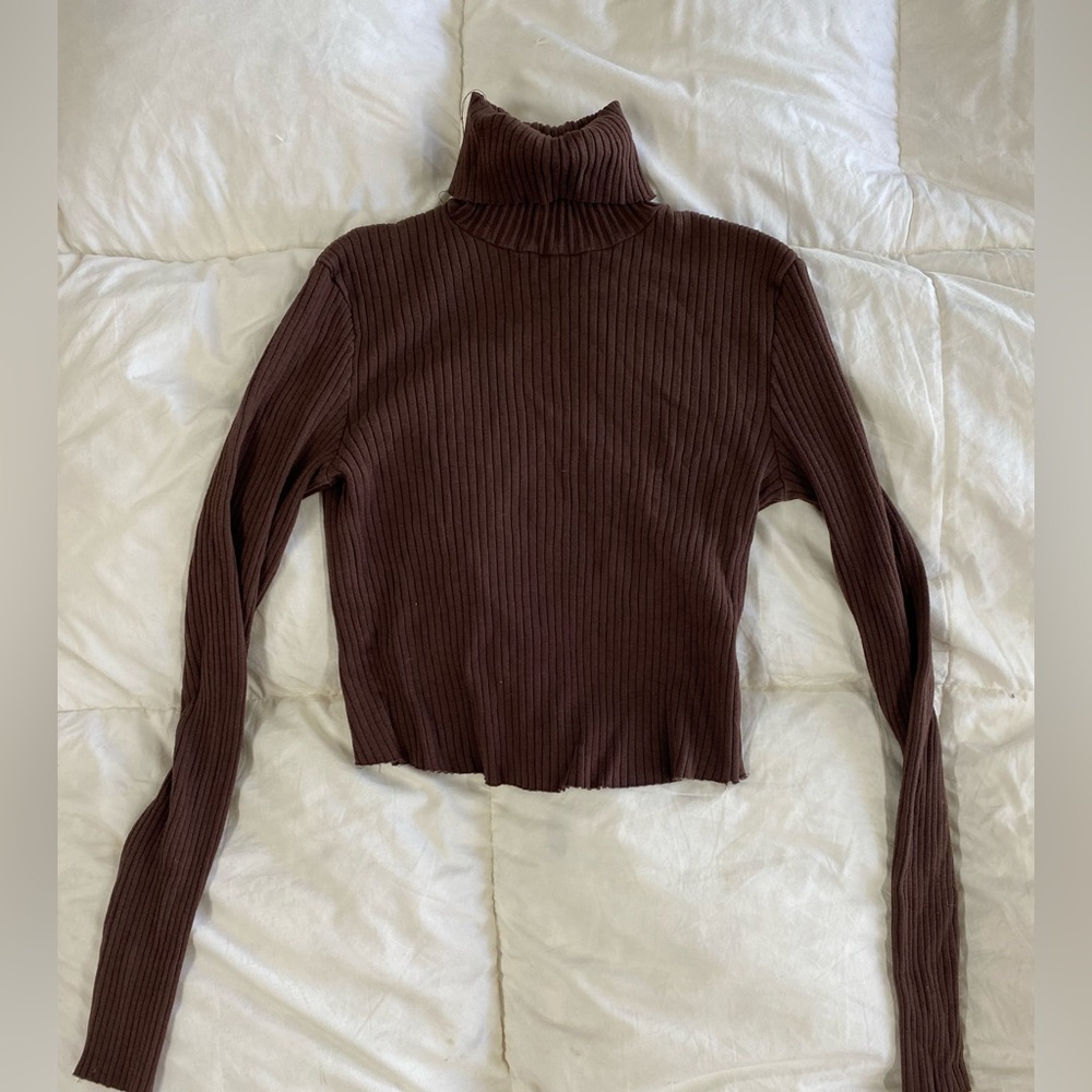 Zara Brown Turtleneck